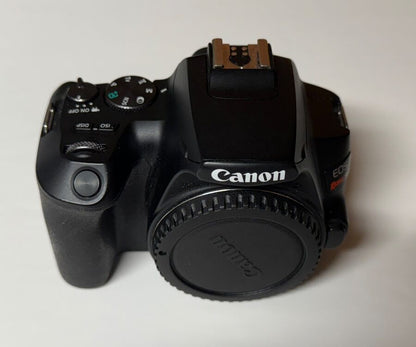 Canon EOS Rebel SL3 dSLR with Five Lenses and Accessories